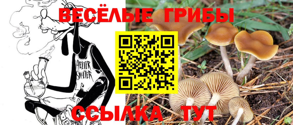 Коммунар  Галлюциногенные грибы мицелий  Вход с VPN 