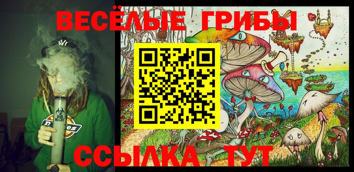 Галлюциногенные грибы MAGIC MUSHROOMS Коммунар